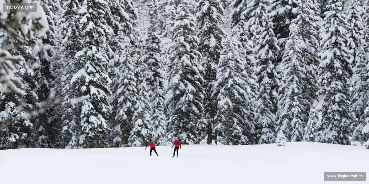 南宫NG28无论是一个人的自律,还是一群人的狂欢,运动从不让人孤单!👥🏊♂️